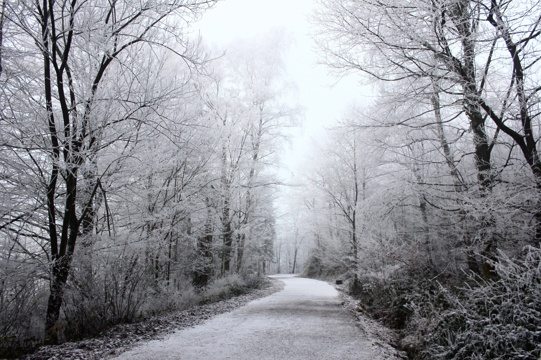 Wintery road in Germany