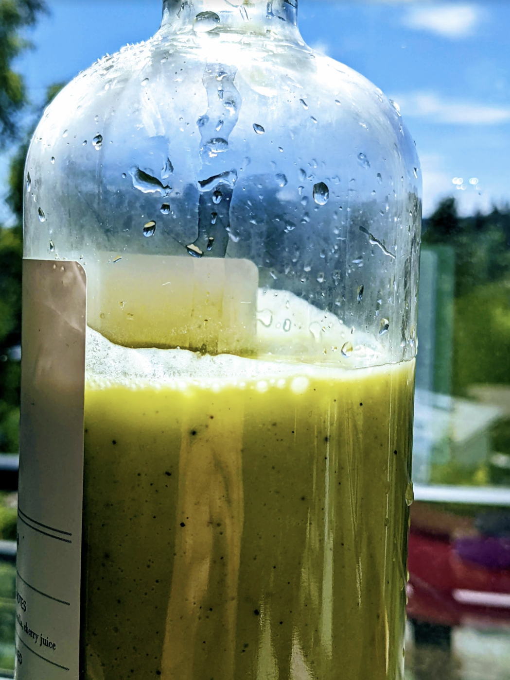 Green Onion salad dressing Bite Sip Savour Bite Sip Savour